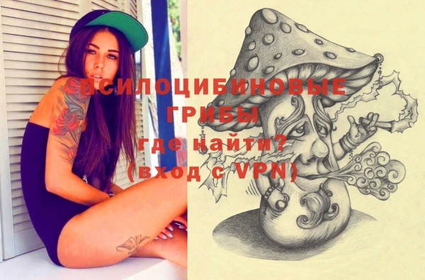 PSILOCYBIN Зеленодольск