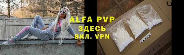 ГАЛЛЮЦИНОГЕННЫЕ ГРИБЫ Иннополис