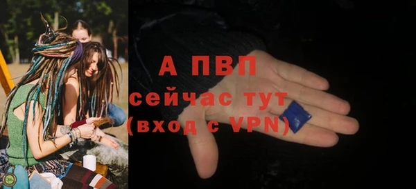 PSILOCYBIN Зеленодольск