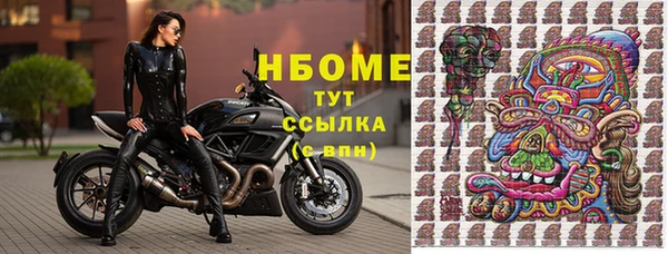 PSILOCYBIN Зеленодольск