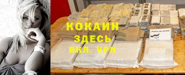 PSILOCYBIN Зеленодольск