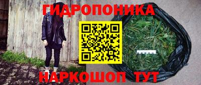 PSILOCYBIN Кинель