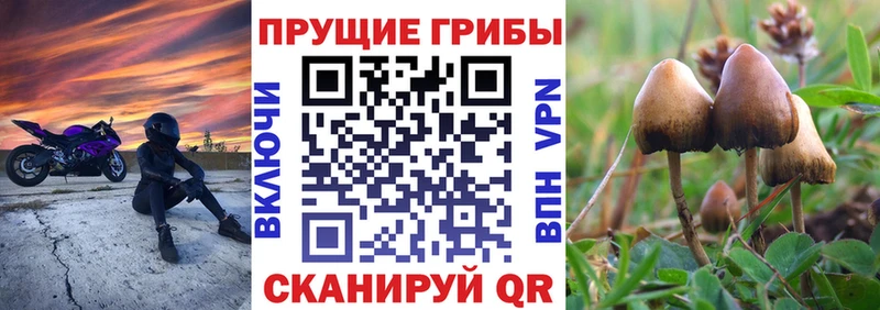 как найти закладки  blacksprut как зайти  Псилоцибиновые грибы MAGIC MUSHROOMS  Калач-на-Дону 
