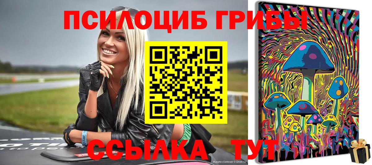 Калач-на-Дону  Галлюциногенные грибы Cubensis  Вход с VPN 